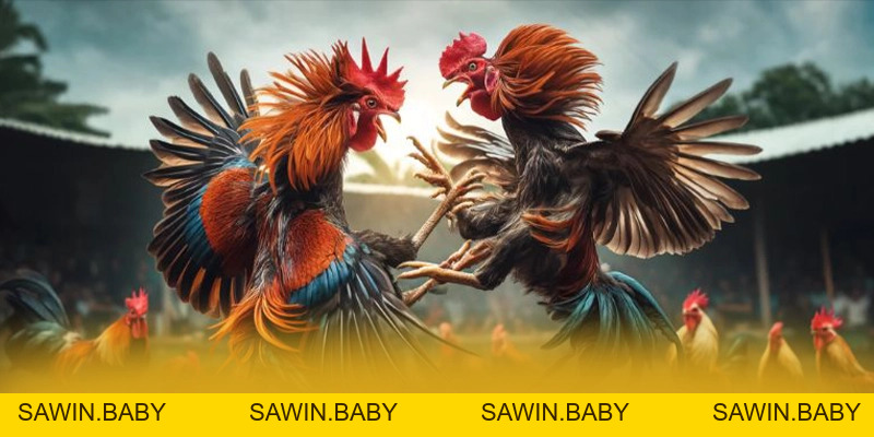 DA88 Điểm Hẹn Cá Cược Trực Tuyến Uy Tín Đẳng Cấp Quốc Tế - sawin.baby - sawin.baby