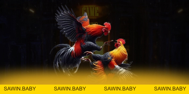DA88 Điểm Hẹn Cá Cược Trực Tuyến Uy Tín Đẳng Cấp Quốc Tế - sawin.baby - sawin.baby