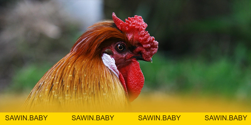 GOOD88 - Sảnh game an toàn tuyệt đối số 1 Việt Nam - sawin.baby - sawin.baby GOOD88 - Sảnh game an toàn tuyệt đối số 1 Việt Nam - sawin.baby - sawin.baby