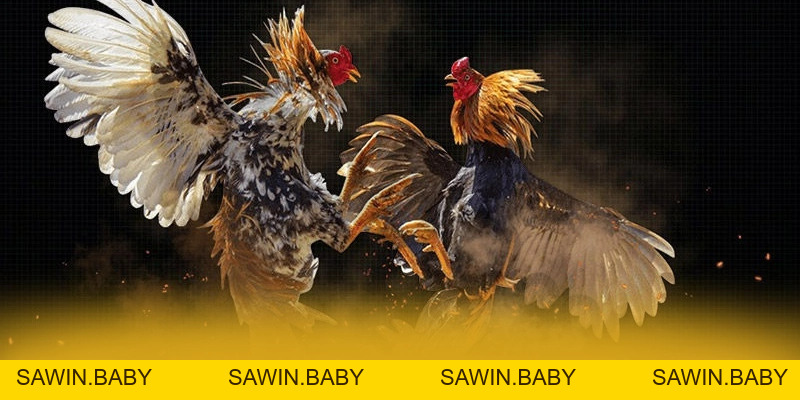 FB88 - Cổng game bài an toàn tuyệt đối tại Việt Nam - sawin.baby - sawin.baby FB88 - Cổng game bài an toàn tuyệt đối tại Việt Nam - sawin.baby - sawin.baby