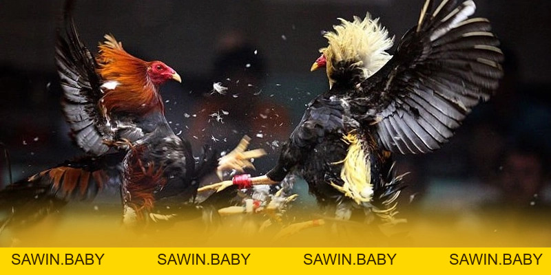 FB88 - Cổng game bài an toàn tuyệt đối tại Việt Nam - sawin.baby - sawin.baby FB88 - Cổng game bài an toàn tuyệt đối tại Việt Nam - sawin.baby - sawin.baby