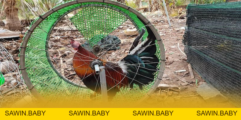 8XBET - Cong game an toan tuyet doi 2026 - sawin.baby - sawin.baby 8XBET - Cong game an toan tuyet doi 2026 - sawin.baby - sawin.baby